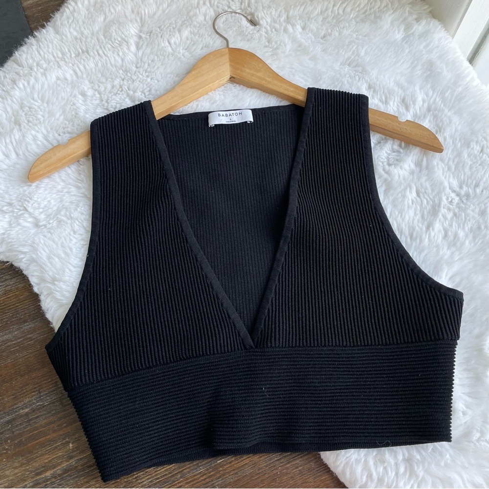 Babaton Black Deep V Ribbed Crop Top